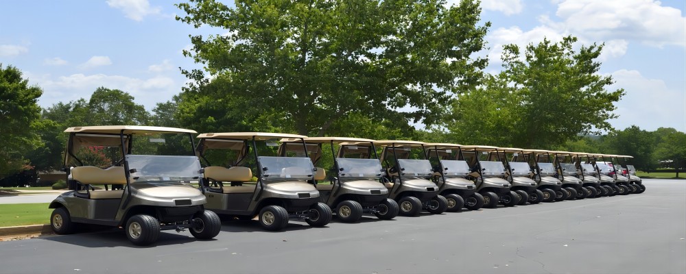 bateria para carrito de golf