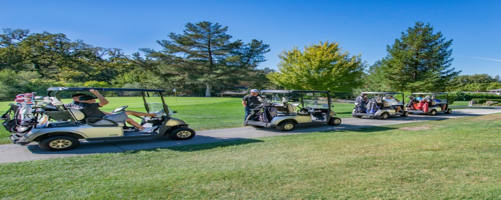 bateria para carrito de golf