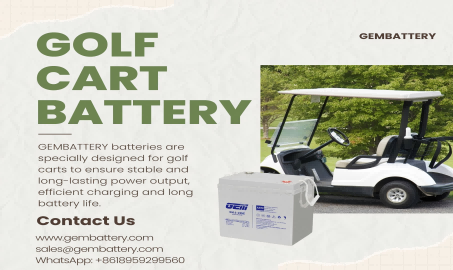 BATERÍA: Con su excelente rendimiento, se ha convertido en la primera opción para baterías de carritos de golf.